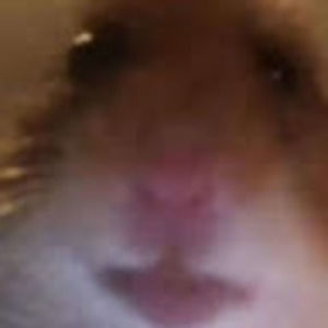 Meet your Posher, Idalys